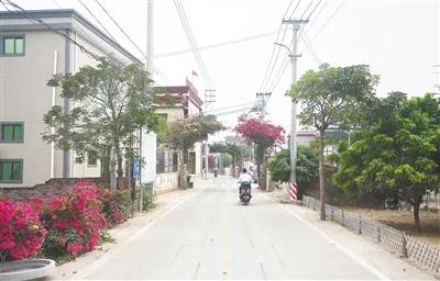 放坡村村道寬闊，整潔平坦.jpg